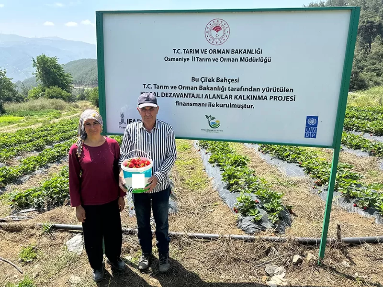 Tarim ve Orman Bakanlığı, Kırsal Dezavantajlı Alanlar Kalkınma Programı'na 4 il daha dahil etti