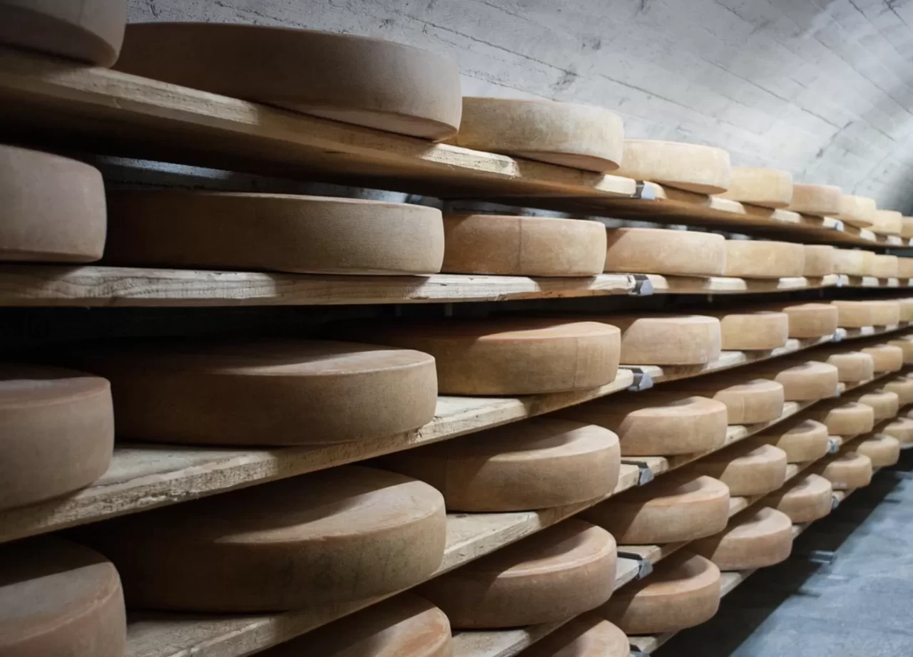 İşte dünyanın en sağlıklı 3 peyniri…