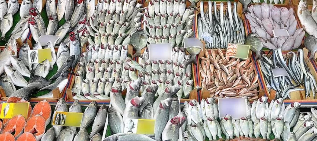 Balık alırken nelere dikkat edilmeli? Taze balık seçmenin altın kuralları