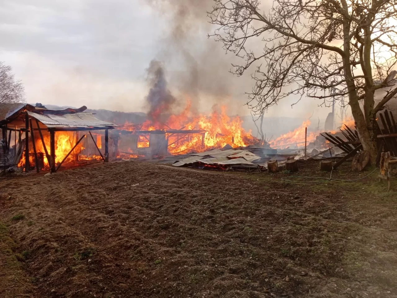 Kastamonu'da çok sayıda ev ve ahır alevlere teslim oldu