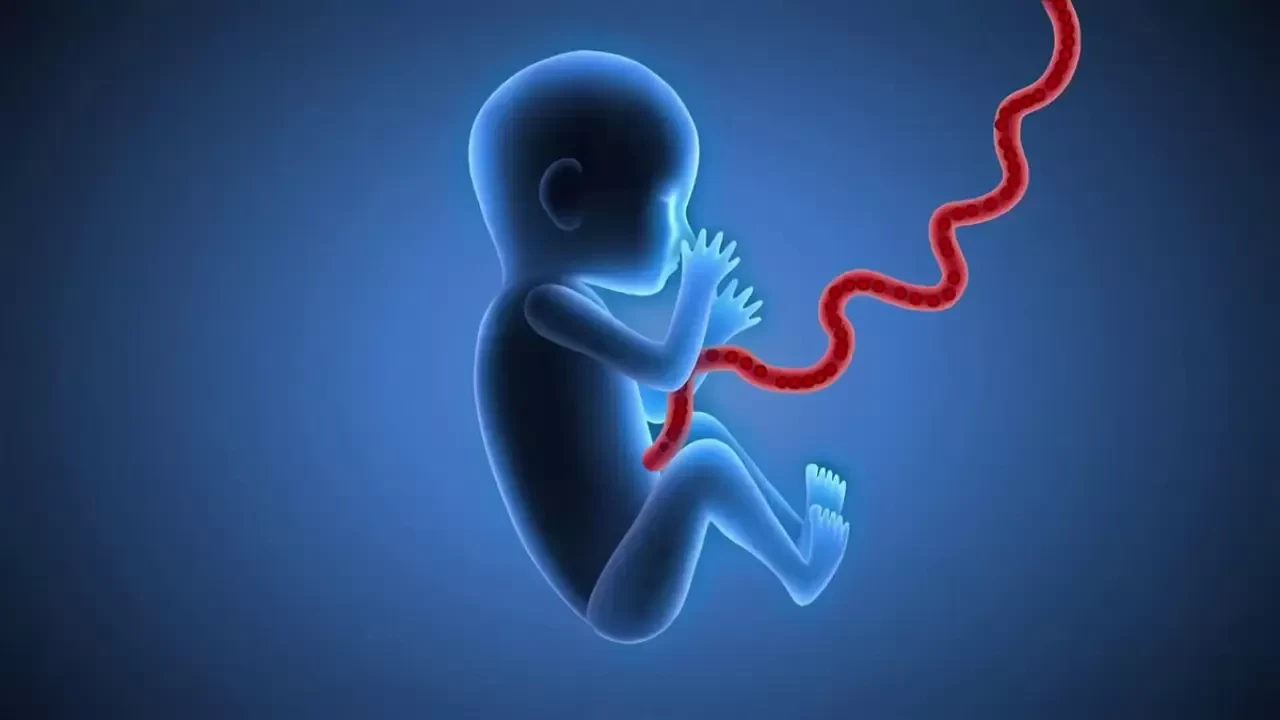 Kordon kanı neden saklanır, ne işe yarar?