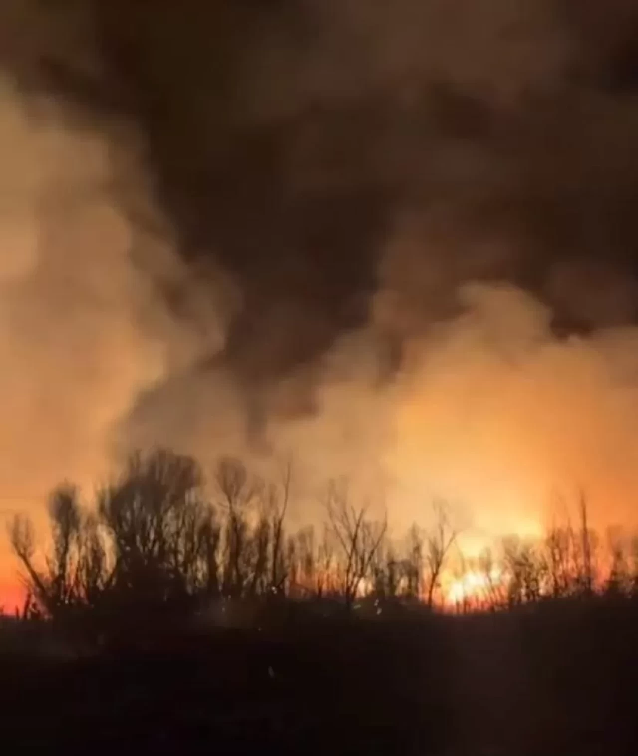 Çankırı’da arazi yangını