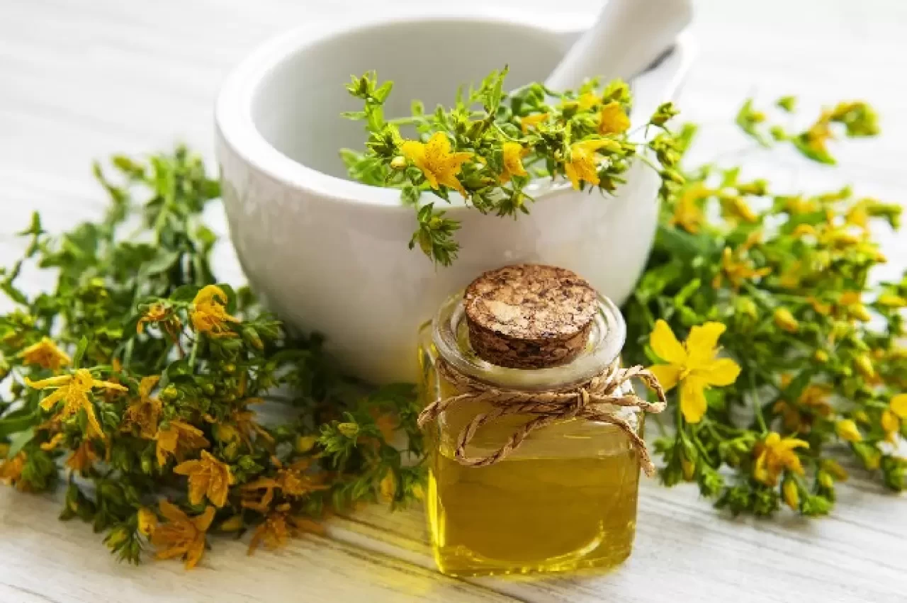 Kantaron Yağı Nedir? Faydaları Nelerdir?