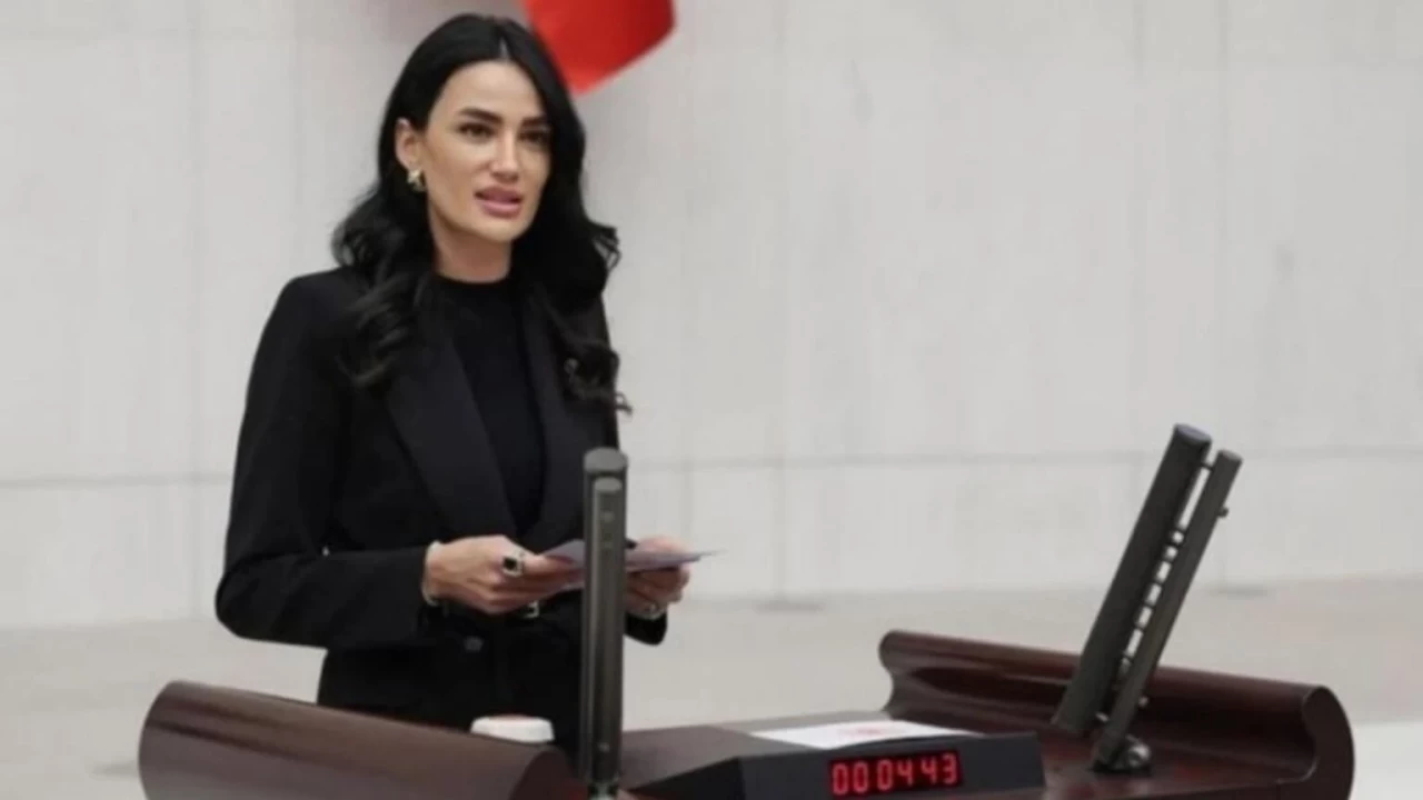 Cumhurbaşkanı'nın elini öpmesiyle gündeme gelen 2006 Miss Turkey Güzeli Seda Sarıbaş kimdir?