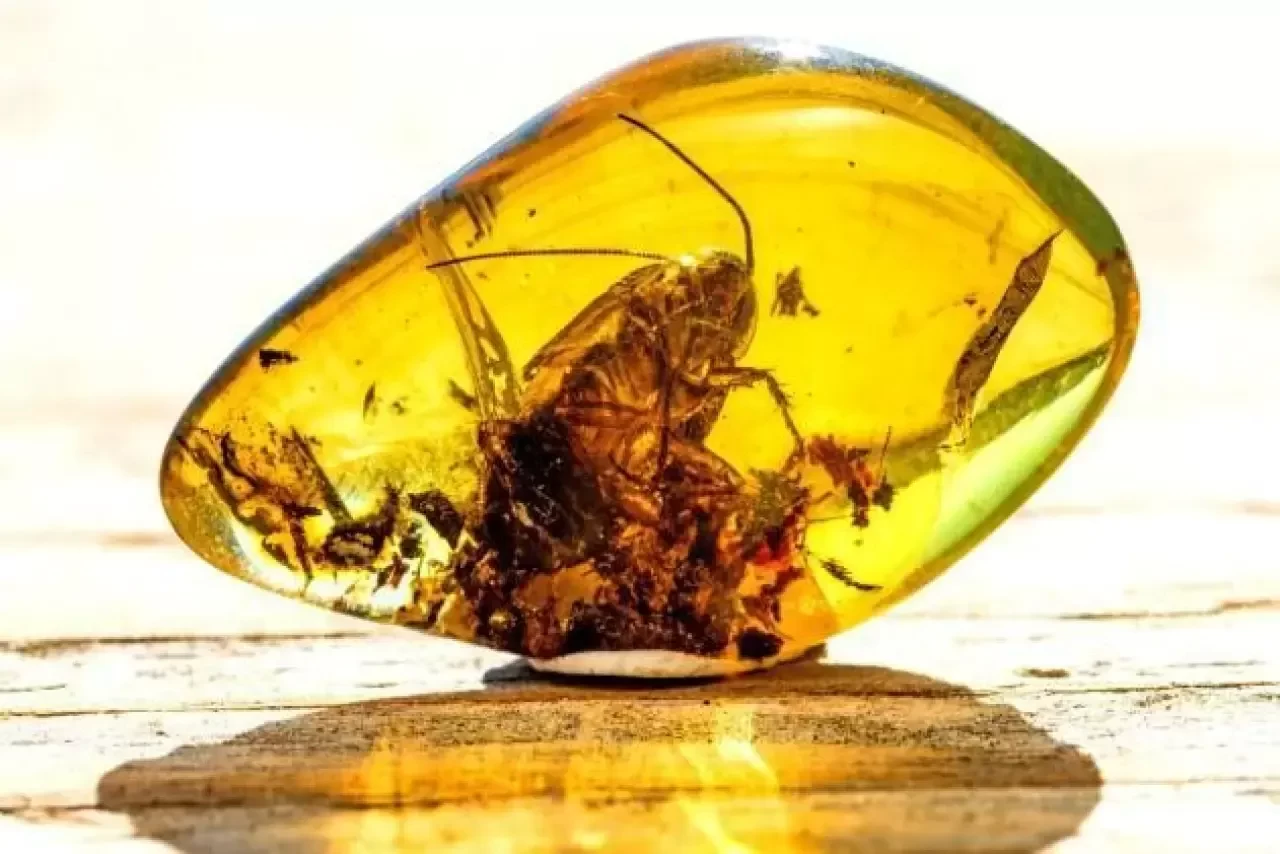 Kehribar Taşı Faydaları Nelerdir? Nasıl Kullanılır?