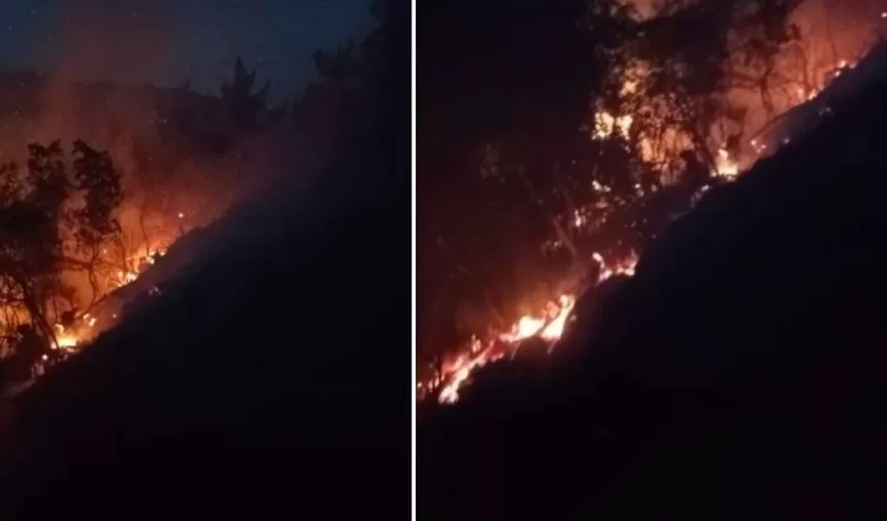 Yaz gelmeden orman yangınları başladı