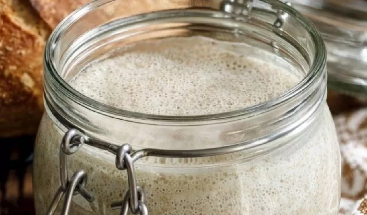 Ekşi mayanın faydaları: Bağışıklık ve sindirimi nasıl güçlendirir?