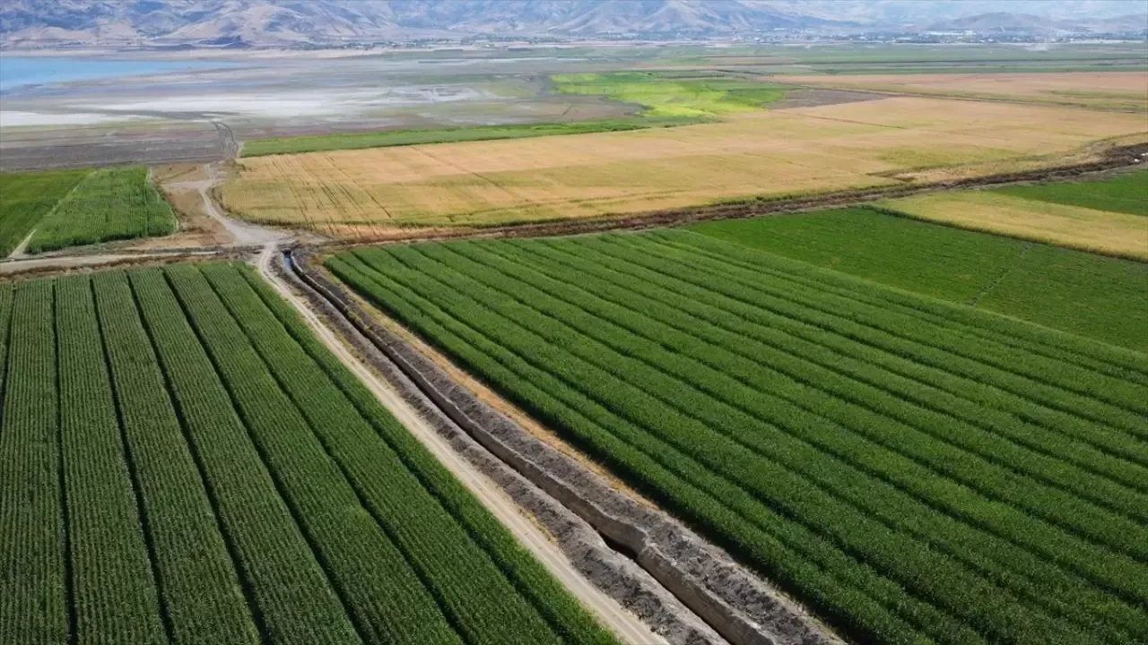 Çiftçilere 3,3 milyar lira destek ödemesi bugün yapılacak