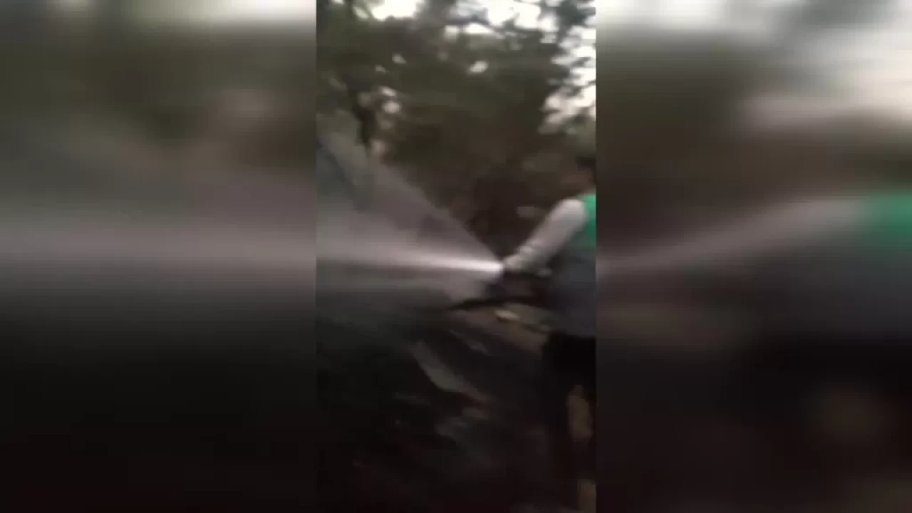 Milas'ta çıkan yangın kontrol altına alındı: 2 hektarlık alan zarar gördü