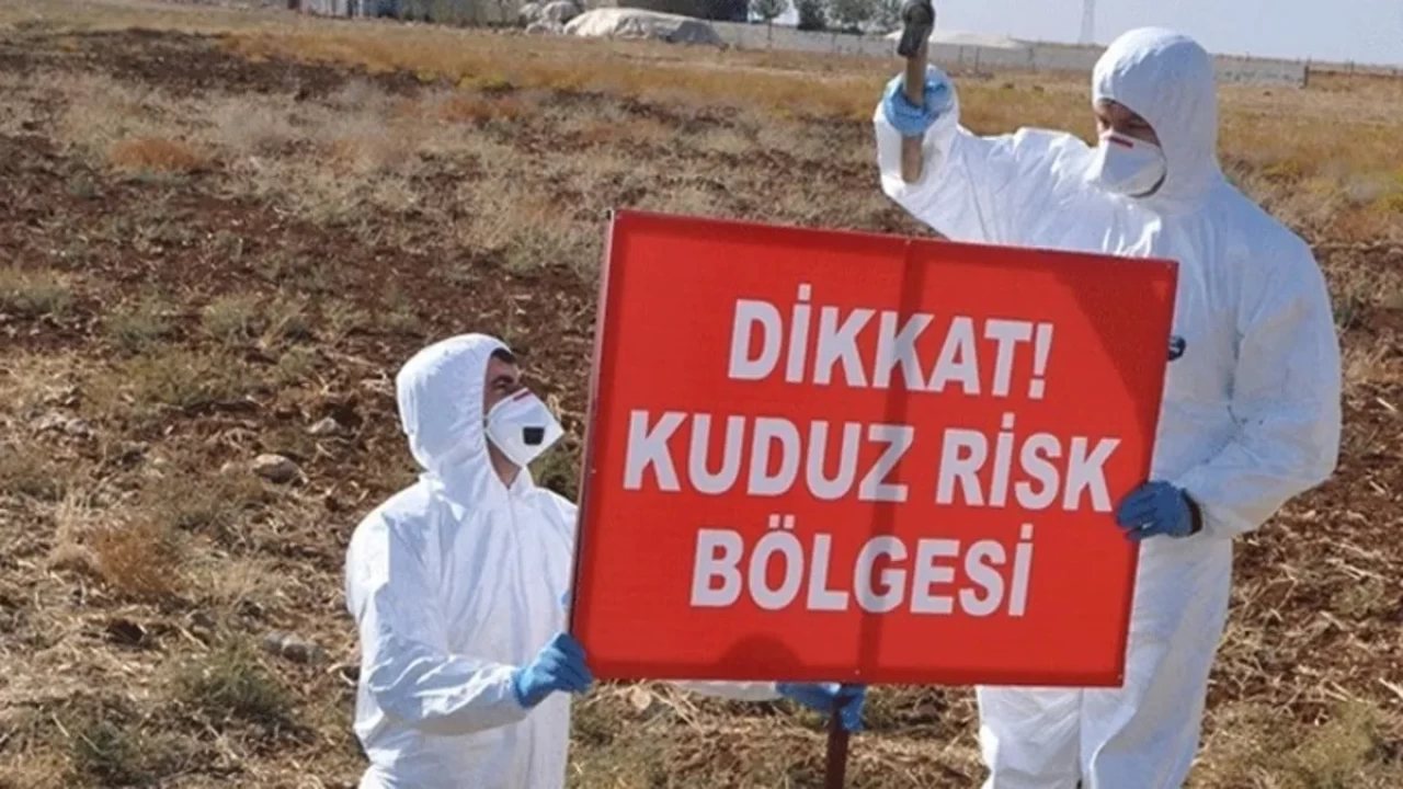 Adıyaman'da kuduz paniği! Köseceli beldesinde karantina uygulaması başladı
