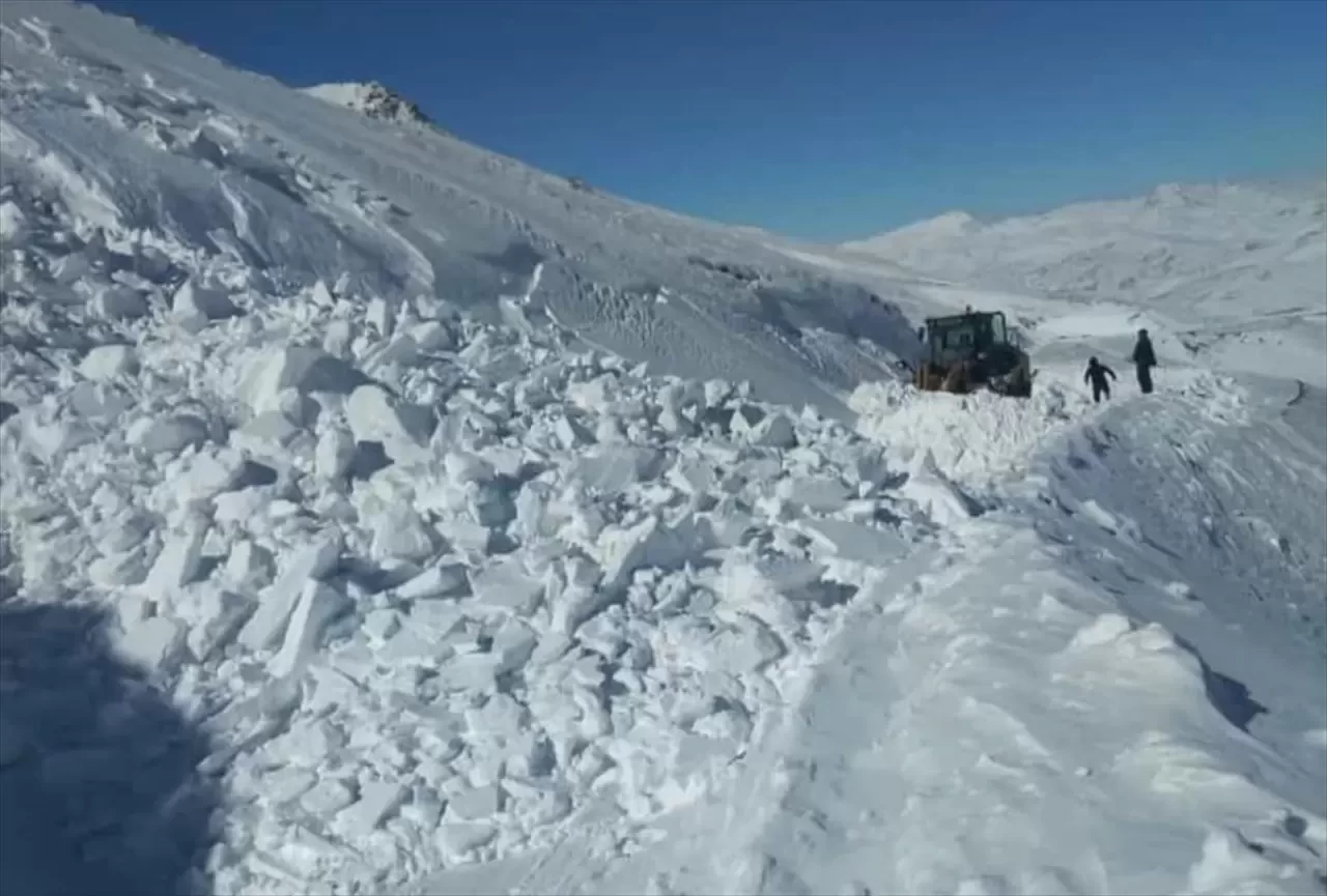Doğu Anadolu'da çığ tehlikesi!