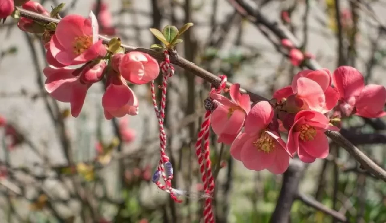 Baharın gelişinin simgesi 'Marteniçkalar' artık 'Yareniçka' oldu