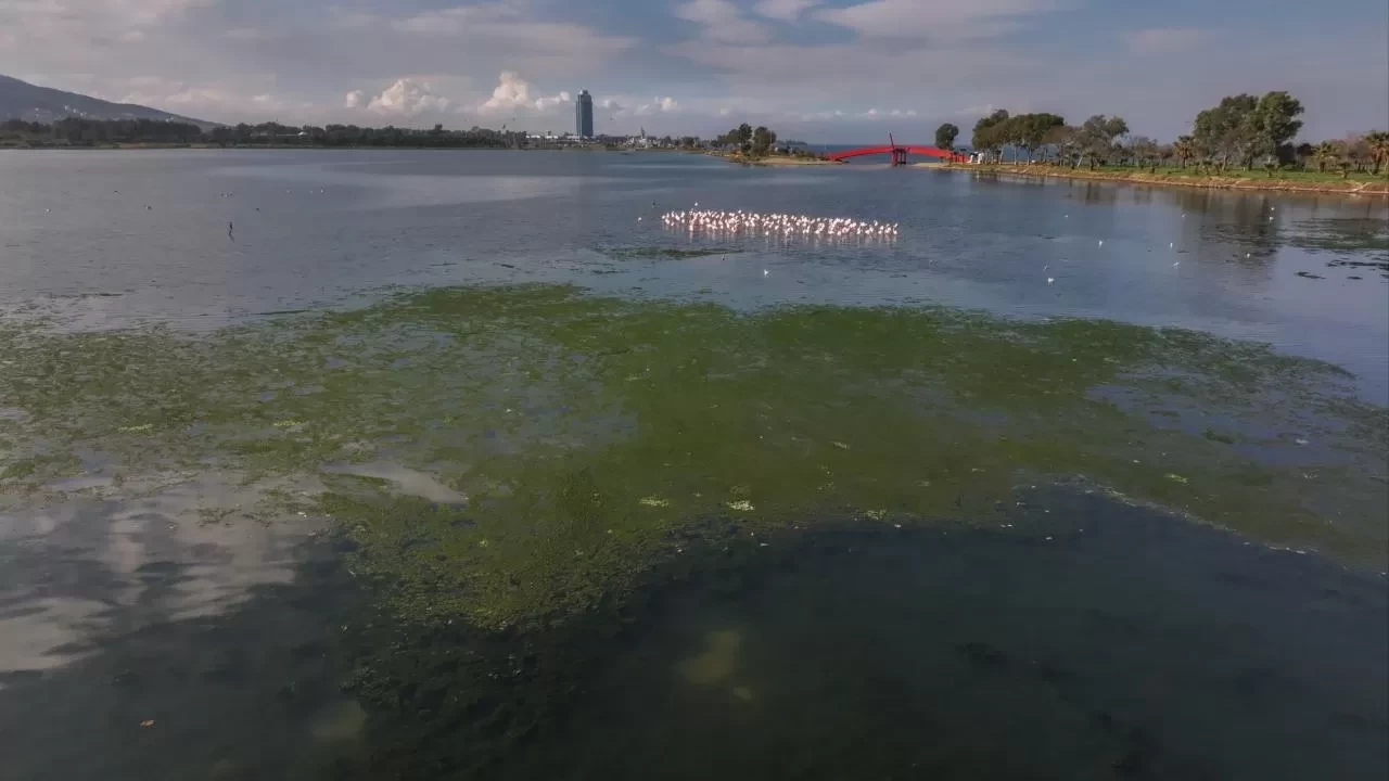 İzmir Büyükşehir Belediyesine 1 milyon 858 bin lira "çevre" cezası