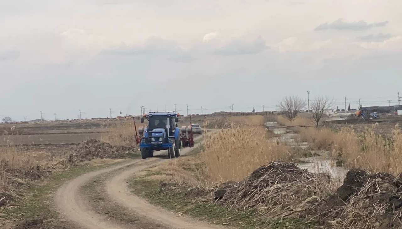 Ceyhan'da traktör kazası: Mibzerin altında kalan kişi can verdi