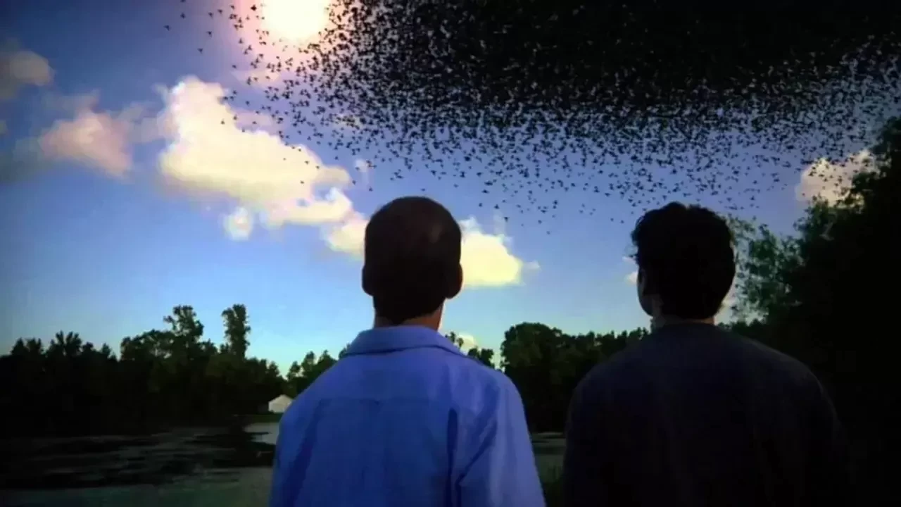 Kıyamet Teorisi Filminin Konusu ve Oyuncu Kadrosu