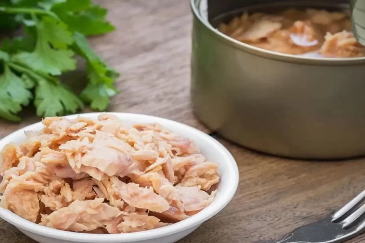 Ton Balığı ve Yoğurt Birlikte Yenir Mi? Sağlığa Zararı Var Mı?