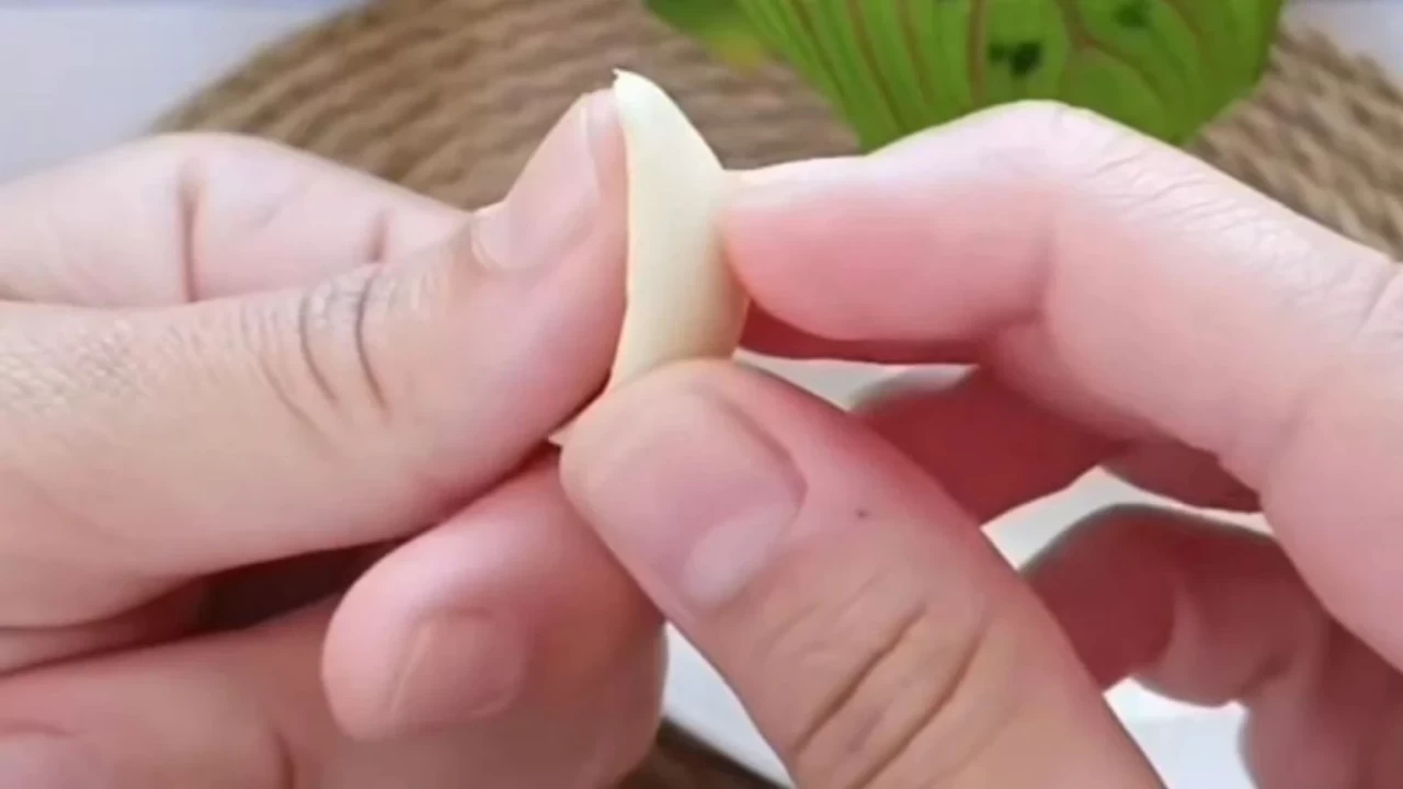 Migrenle savaşta doğal yöntem