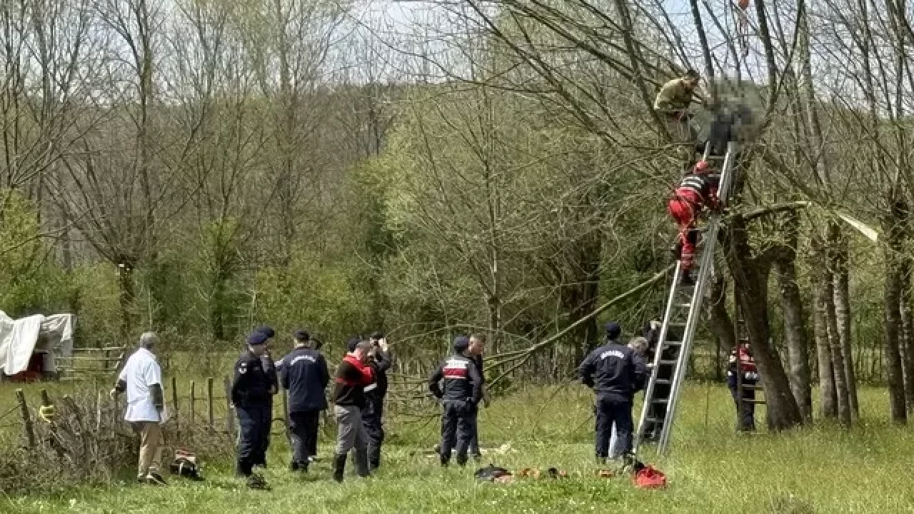 Budadığı ağaçta kalp krizi geçirerek hayatını kaybetti