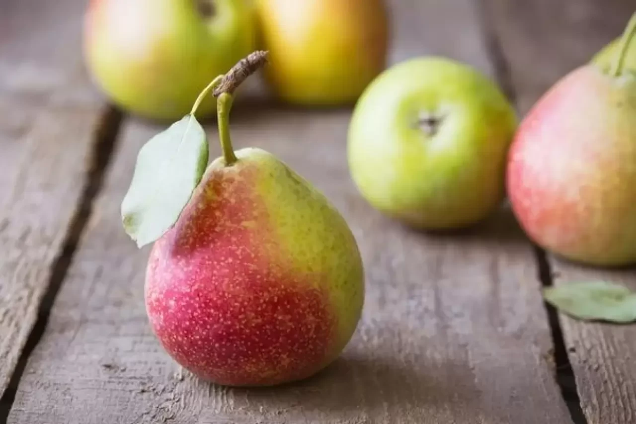 Armut Kilo Aldırır mı?