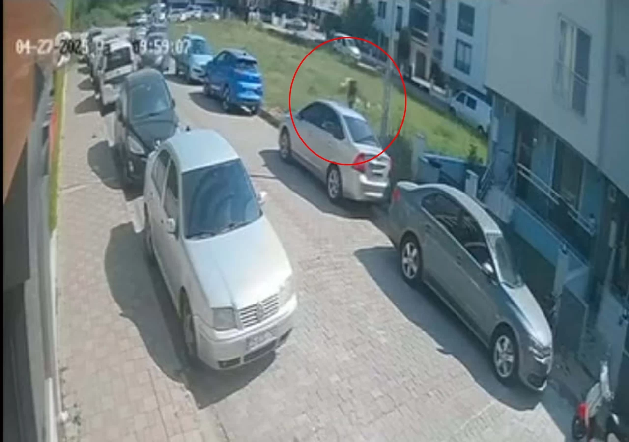 Sokak köpeklerinden kaçmak isterken başını park halindeki otomobile çarptı