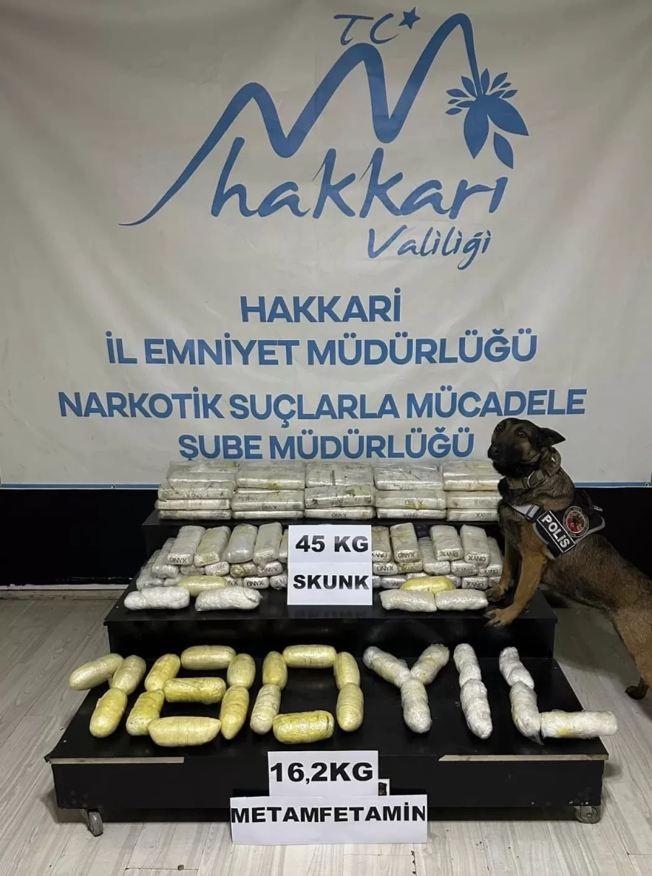 Hakkari'de tır dorsesinde 45 kg skunk bulundu