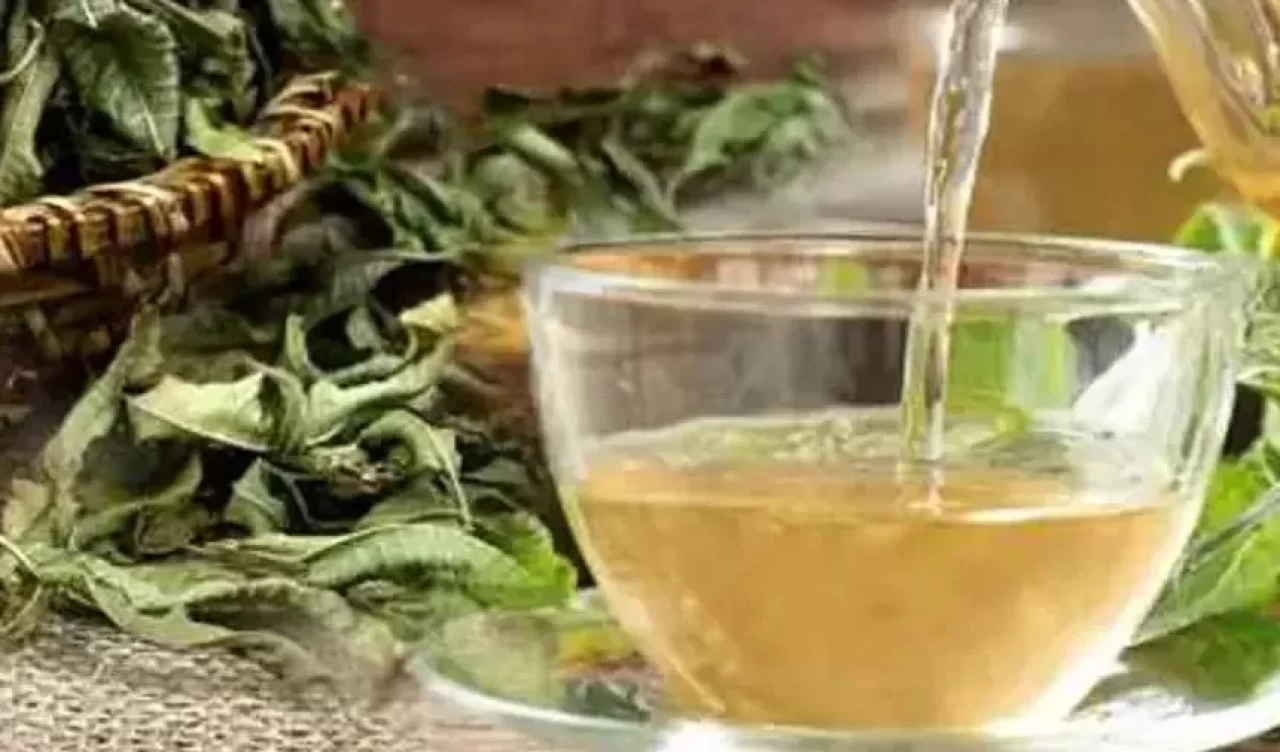 Melisa çayının faydaları neler? İşte rahatlatan demleme yöntemleri