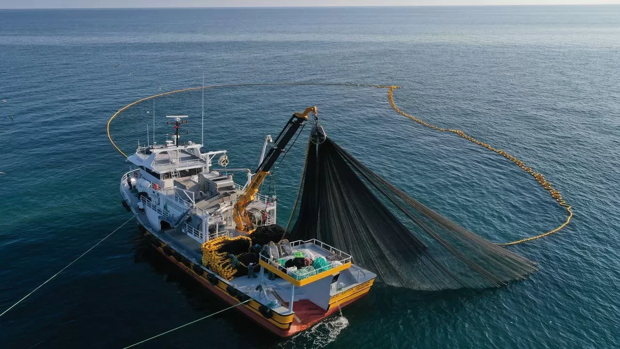 Su ürünleri avcılığında kurallar düzenlendi