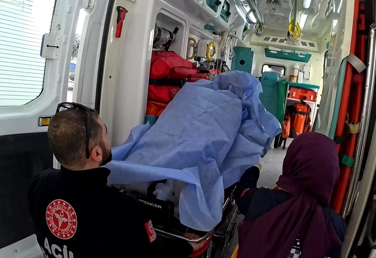 Balıkesir'de ayının saldırısına uğrayan şahıs yaralandı