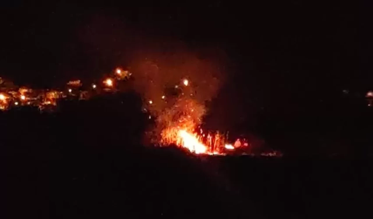 Van'da birçok kuş türüne ev sahipliği yapan sazlık alan yandı