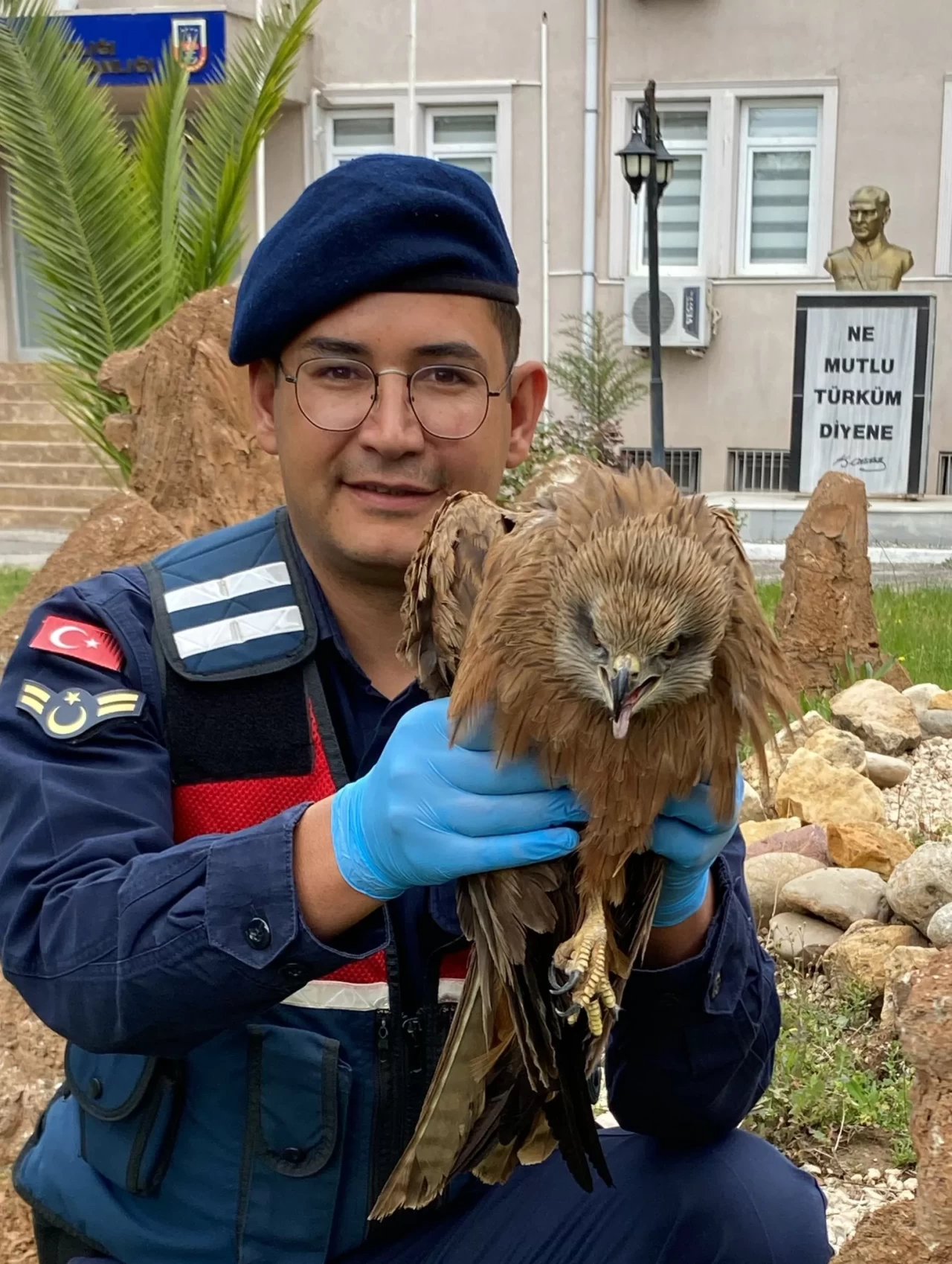 Adıyaman'da bulunan yaralı kızıl şahin koruma altına alındı