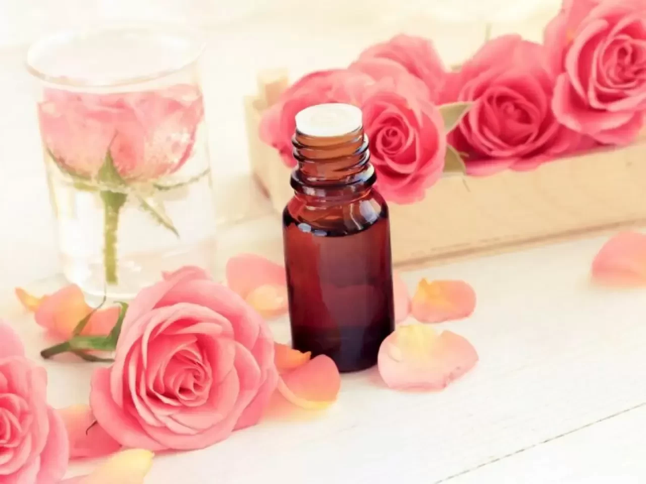 Gül Yağının Faydaları: Cilt ve Ruh Sağlığına Doğal Dokunuş!