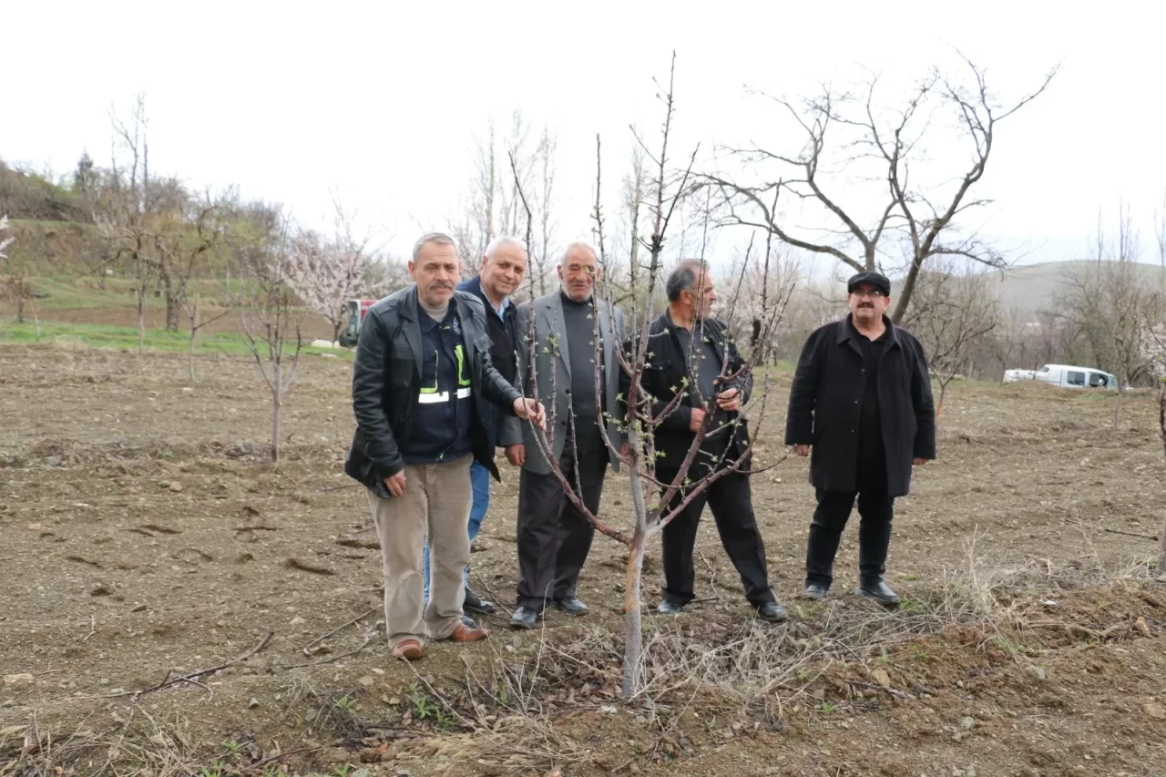 Erzincan'da zorlu kış yaban hayvanlarını aç bıraktı