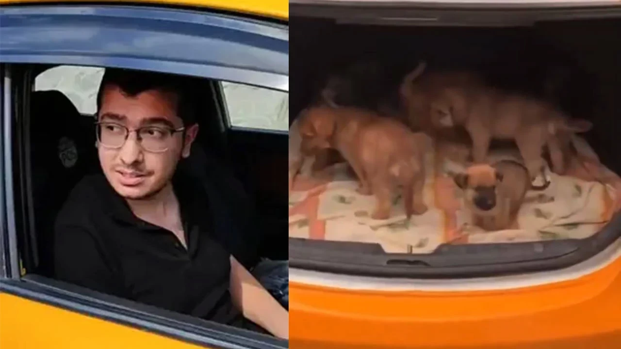 Ankara'da sahiplendiği köpekleri vahşice öldüren doktor tutuklandı!