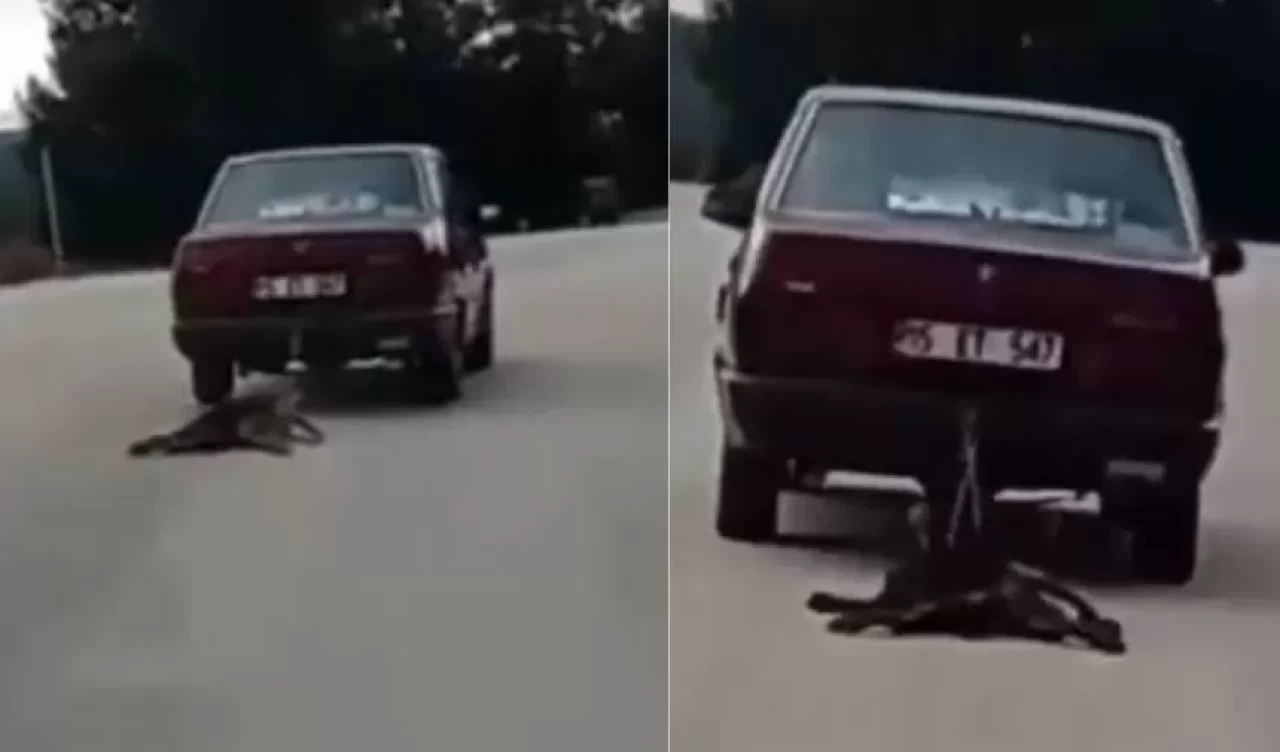 Burdur'da köpeği araca bağlayarak sürükleyen sürücü tutuklandı!