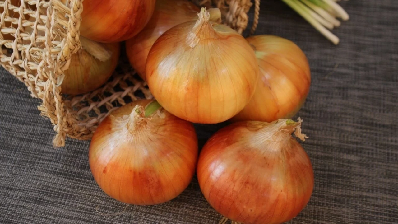 Bebeklere soğan ne zaman verilir?