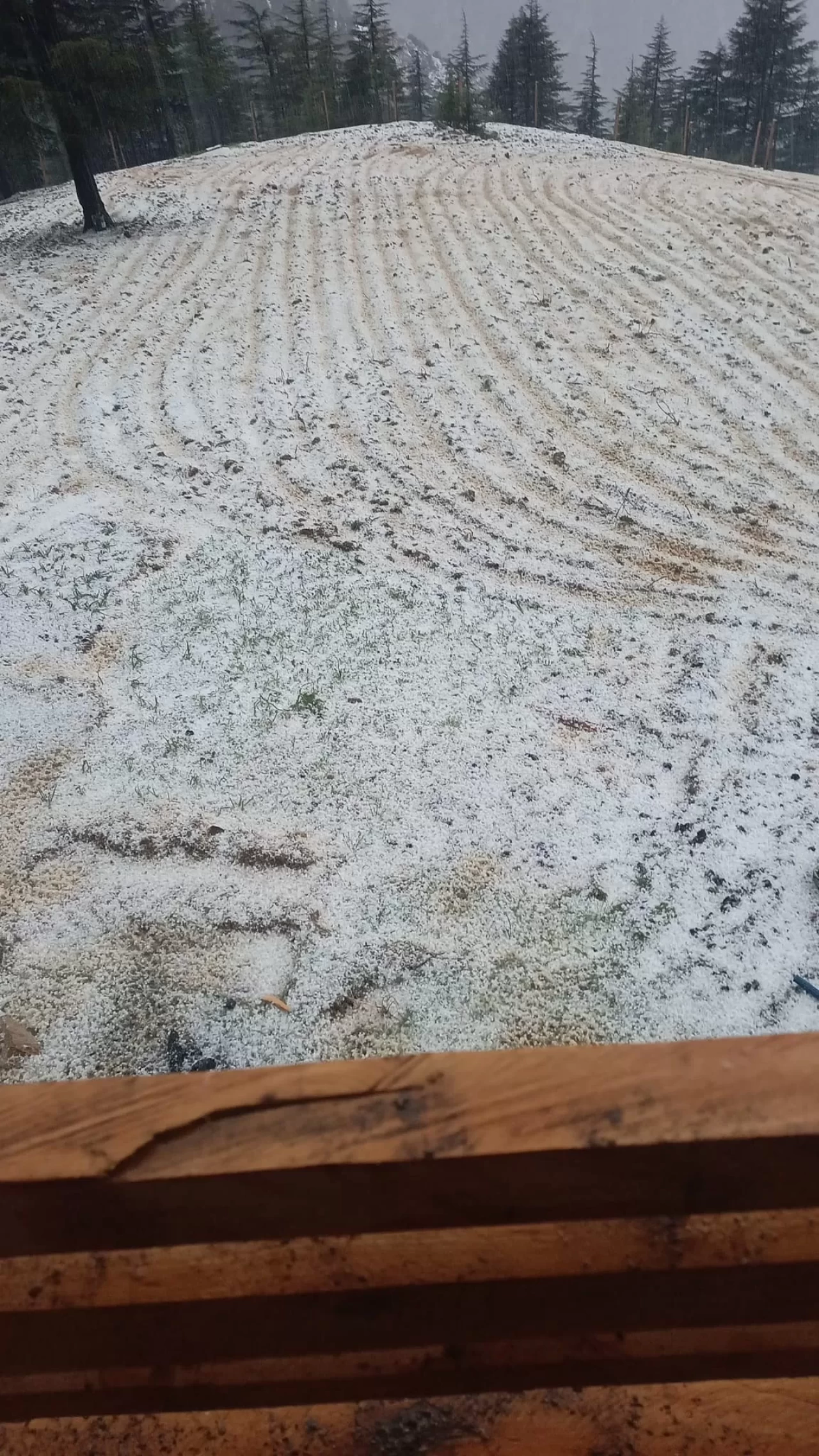 Adana'da dolu yağışı tarım arazilerini beyaza bürüdü