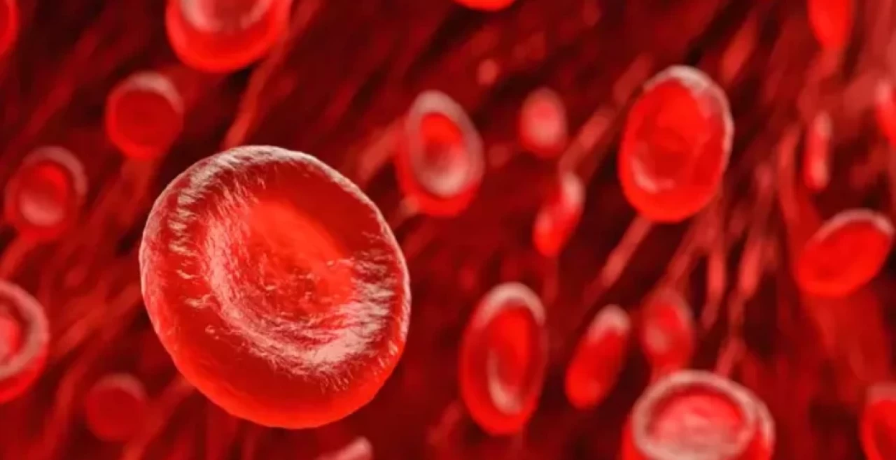 Kanın pıhtılaşmasını unutun! İşte doğal yolla kan sulandıran 5 süper besin