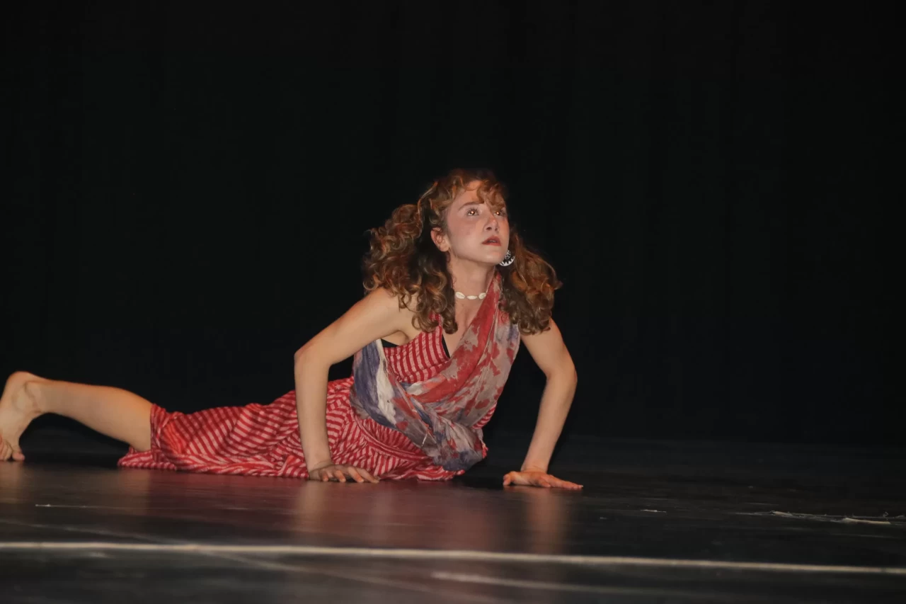 Diyarbakır'da "Dünya Dans Günü" etkinliği yapıldı