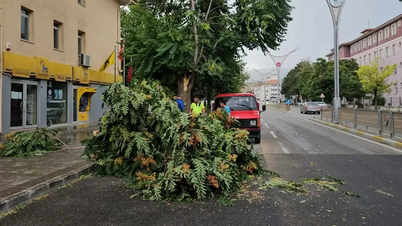Meteorolojiden Güneydoğu Anadolu'da için kuvvetli rüzgar ve fırtına uyarısı