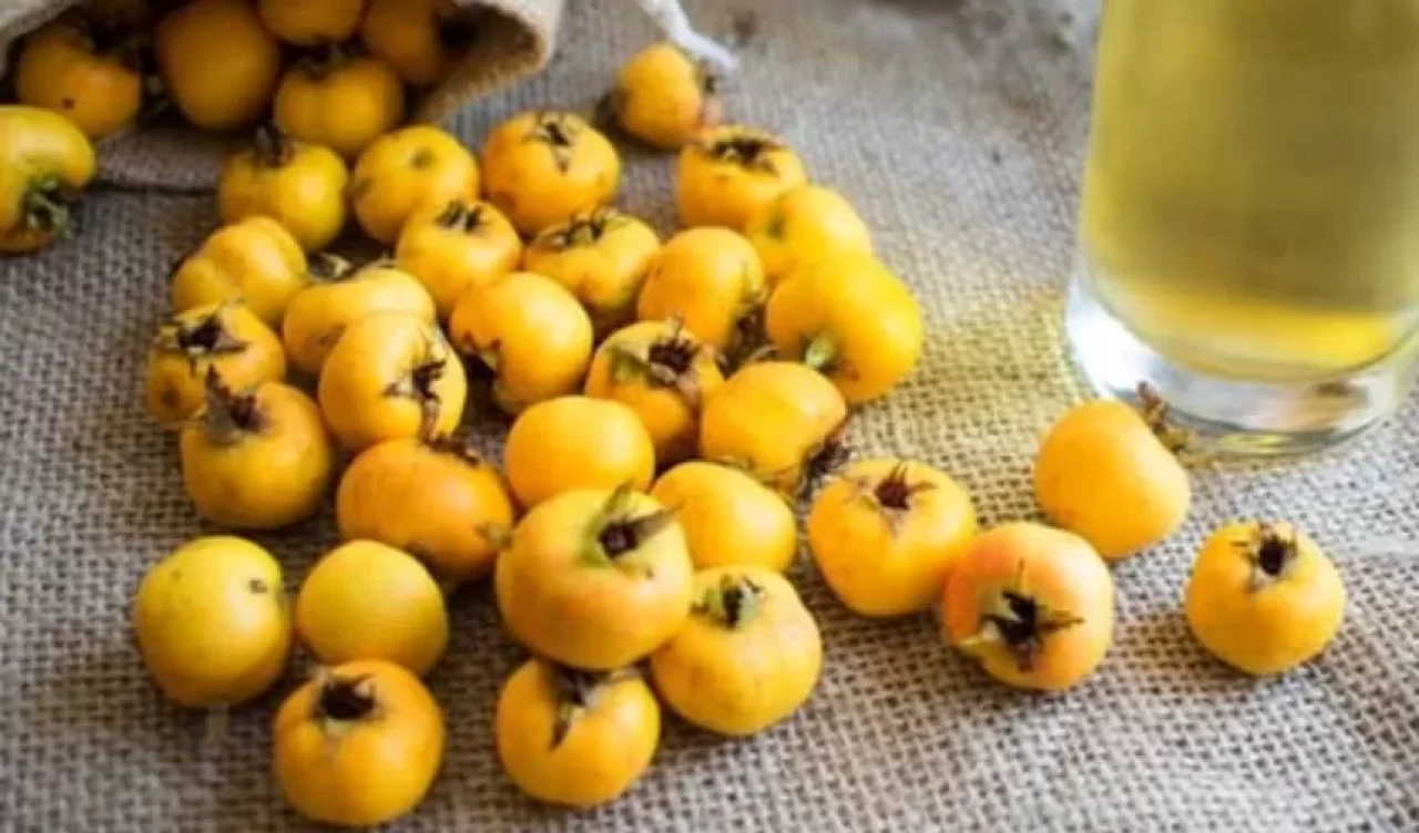 Kalp dostu, bağışıklık güçlendirici ve cilt yenileyici! Alıç sirkesinin şaşırtıcı faydaları!