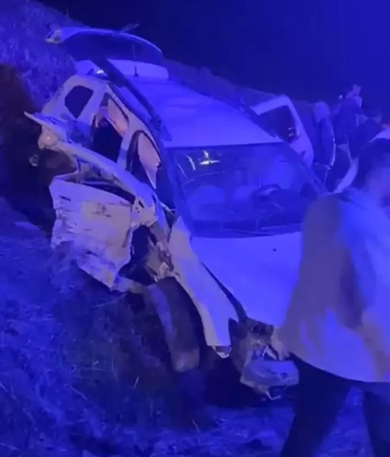 Domuza çarptı! Feci olayda 1 kişi hayatını kaybetti 6 kişi yaralı