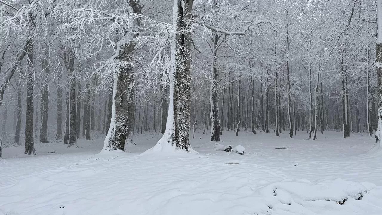 Baharda "kar" sürprizi: Birçok il beyaza büründü