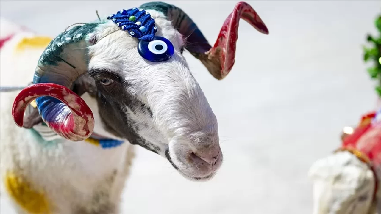 Kurban nasıl kesilir? 2025 yılı için Diyanet’ten islami kurban kesimi rehberi