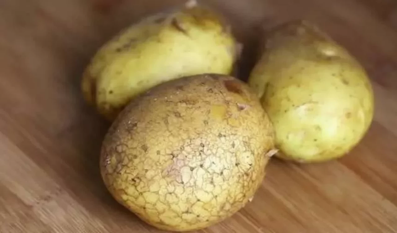 Mikrodalgada patates pişirmenin pratik yolları