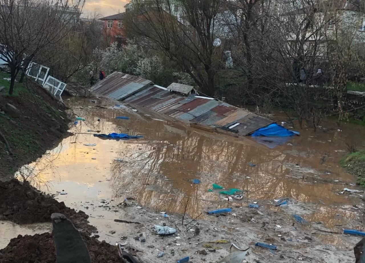 Bingöl'de yağış nedeniyle 2 büyükbaş ve 3 küçükbaş hayvan telef oldu