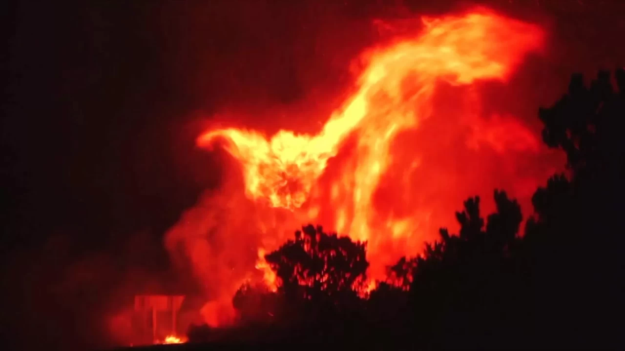Güney Afrika'da yangın: 2 bin 600 hektar zarar gördü