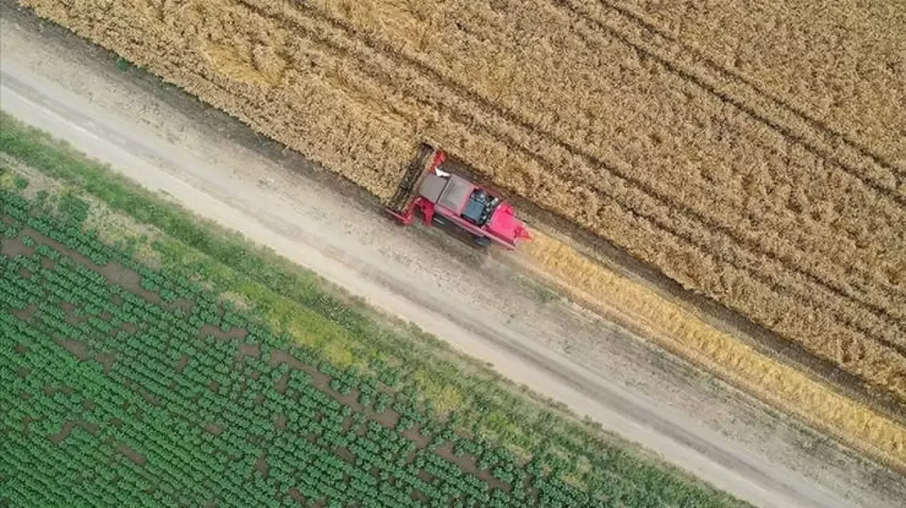 Tarım ÜFE'de Mart ayında dikkat çeken artış: Yüzde 31,54!