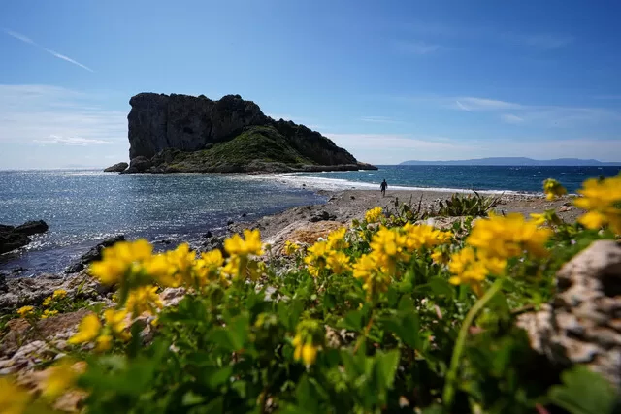 İzmir'in yürüyerek ulaşılabilen doğal güzelliği: Çıfıt Adası