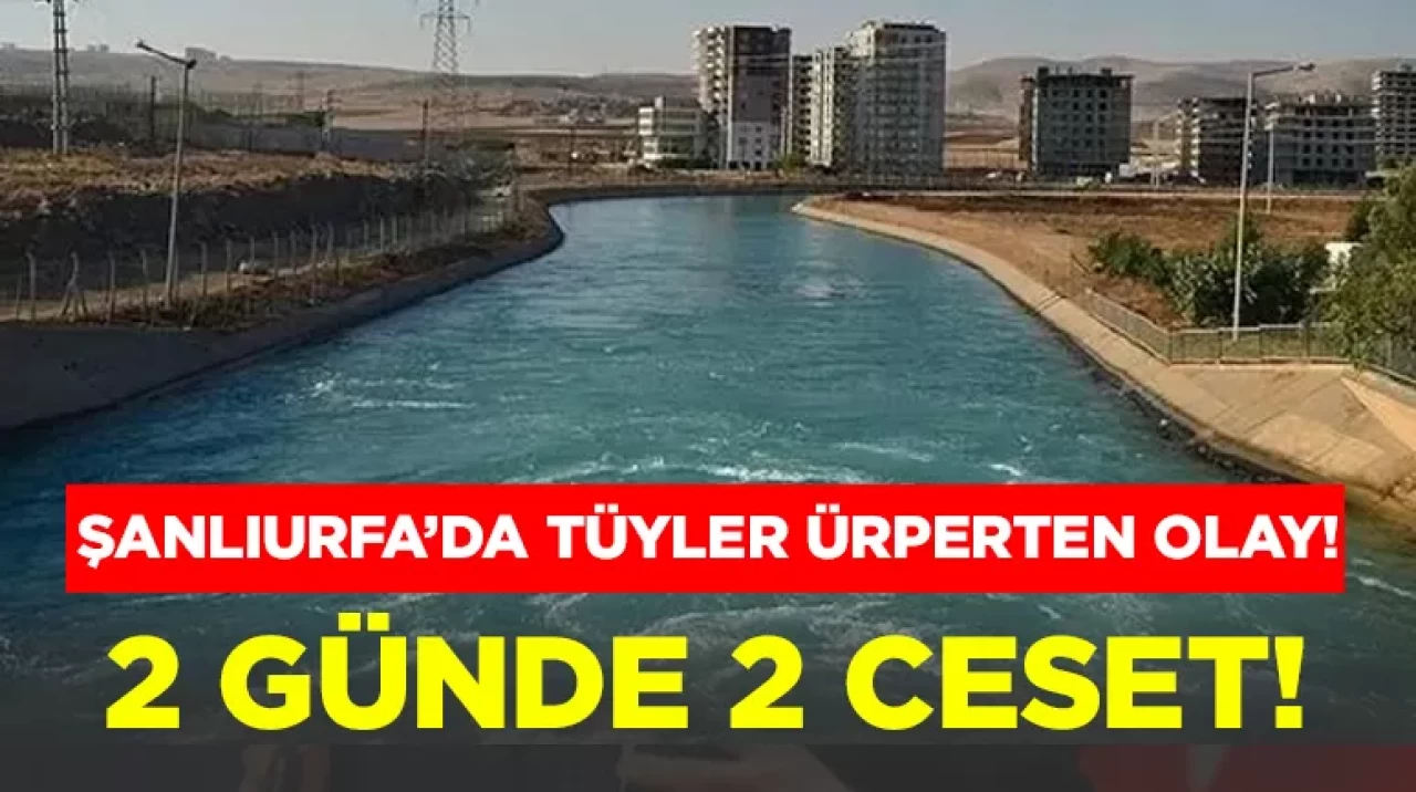 Şanlıurfa’da tüyler ürperten olay: Sulama kanalında ceset bulundu