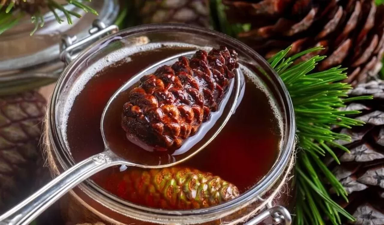 Bağışıklığı güçlendirip solunum yollarını açıyor!